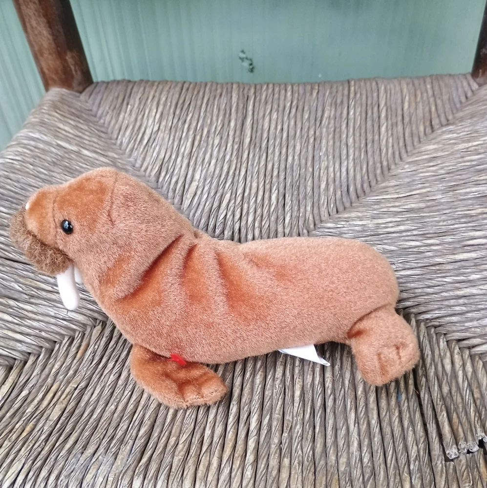 Paul the Walrus 1999 Vintage TY Beanie Babies 6in No Tag - Picture 3 of 7